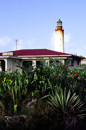 East Point Lighthouse towers over a home & cactus. Barbados.