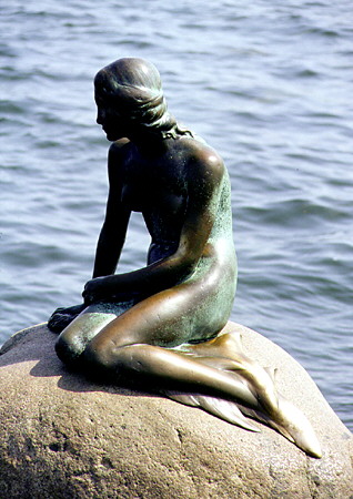 Den Lille Havfrue statue, The Little Mermaid, in Kobenhavn. Denmark.