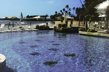 Swimming pool of the Hilton Hotel on island of Tobago. Trinidad and Tobago.