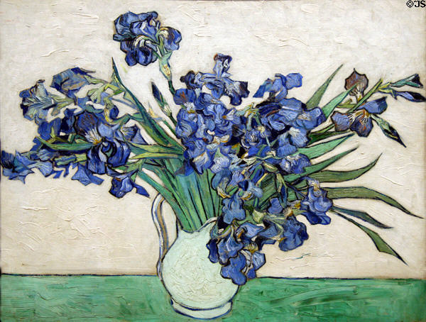 Irises (1890) by Vincent van Gogh at Metropolitan Museum of Art. New York, NY.