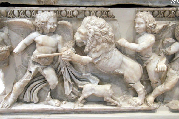 Detail of lion on Roman marble sarcophagus (2ndC CE) from Dokimeion, now Afyon, Turkey at RISD Museum. Providence, RI.