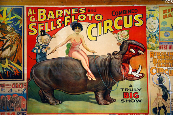 Poster (c1920s) of lady riding hippo in combined Barnes & Sells-Floto Circuses at Circus World Museum. Baraboo, WI.