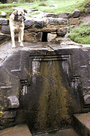 Inca fountain carved with representation of three levels of the world & dog in Ollantaytambo. Peru.