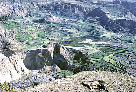 Colca Canyon terraces. Peru.