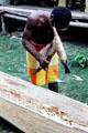 Canoe carver using a traditional handle with metal blade, Timbunke. Papua New Guinea.