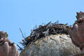 Osprey nest atop clock tower reflect mansion's original name of Eagle's Nest at Vanderbilt Mansion. Centerport, NY.