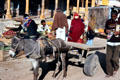 Donkey pulls a cart through streets of Mandawa. Mandawa, India.