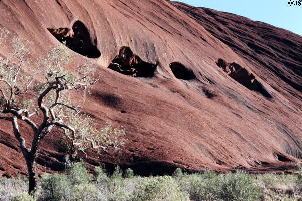 Four caves aligned on side of Uluru (aka Ayers Rock). Australia.