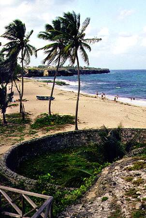 Beach & palm trees at Sam Lord Castle. Barbados.