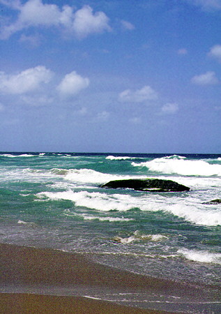 Ocean view at Barclays Park on Atlantic. Barbados.