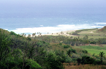 Atlantic coast viewed from Cherry Tree Hill. Barbados.