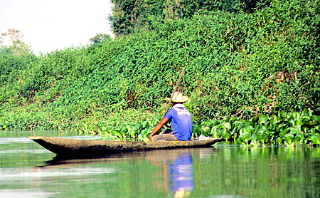Fisherman in the wetlands of the Pantanal. Brazil.
