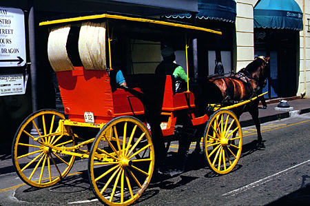Caleche (horse drawn carriage). Nassau, The Bahamas.