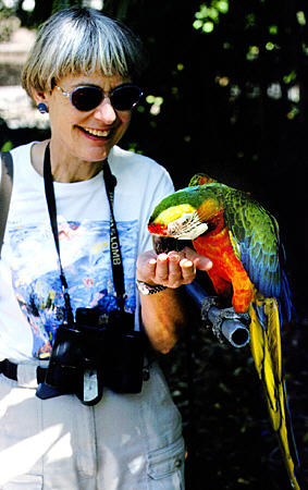 Visitor feeds a parrot at Garden of the Groves, Port Lucaya. The Bahamas.