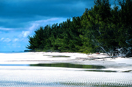 Beach of Lucayan National Park. The Bahamas.