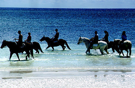 Horseback riders on Williamstown Beach. The Bahamas.