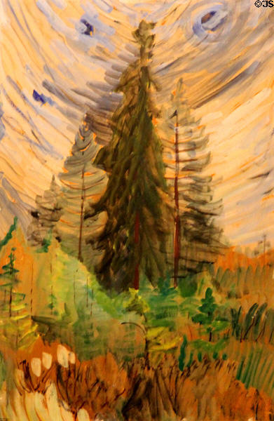 Pine Trees & Blue Sky painting (c1935) by Emily Carr at Art Gallery of Greater Victoria. Victoria, BC.