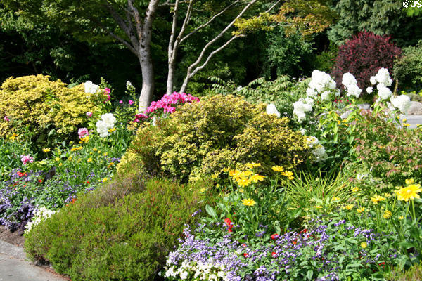 Flowers & bushes at Stanley Park Rose Garden. Vancouver, BC.
