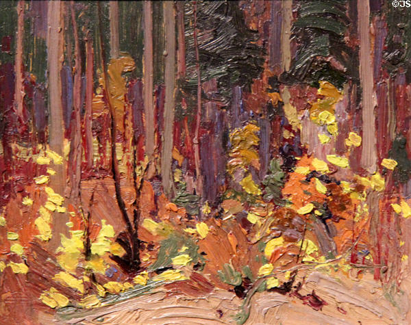 Dappled Thicket painting on board (1916) by Tom Thomson at McMichael Gallery. Kleinburg, ON.