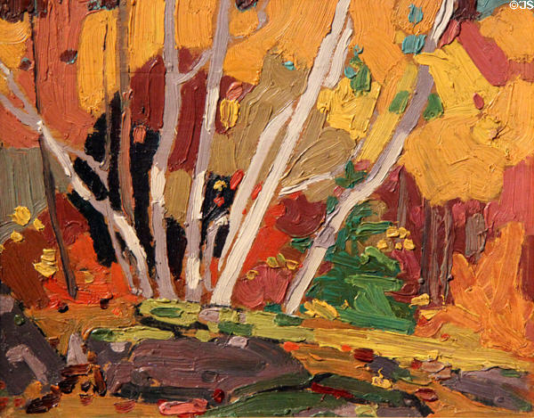 Autumn Birches painting on board (1916) by Tom Thomson at McMichael Gallery. Kleinburg, ON.
