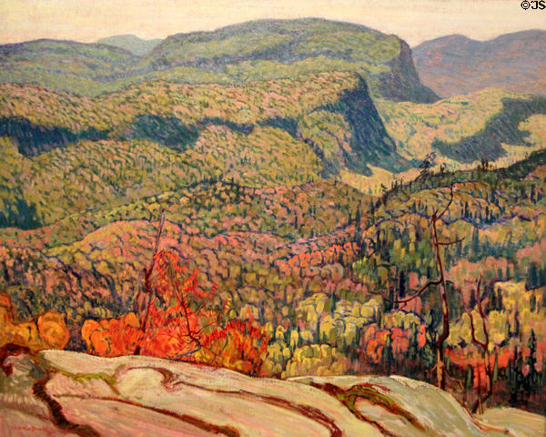 Forest Wilderness painting (1921) by J.E.H. Macdonald at McMichael Gallery. Kleinburg, ON.