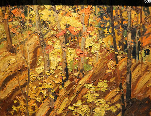 Autumn Woods painting on board (c1922) by Franklin Carmichael at McMichael Gallery. Kleinburg, ON.