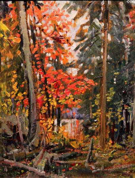 Algonquin Park painting on board (1914) by Arthur Lismer at McMichael Gallery. Kleinburg, ON.