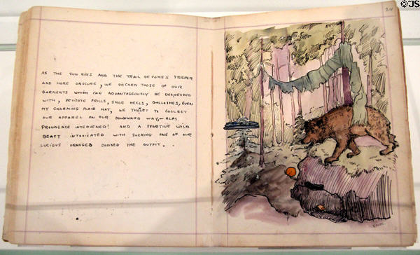 Sister & I in Alaska illustrated sketchbook (1907) by Emily Carr at National Gallery of Canada. Ottawa, ON.