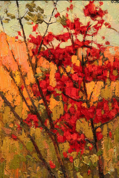 Soft maple in autumn painting on board (1914) by Tom Thompson at Tom Thompson Art Gallery. Owen Sound, ON.