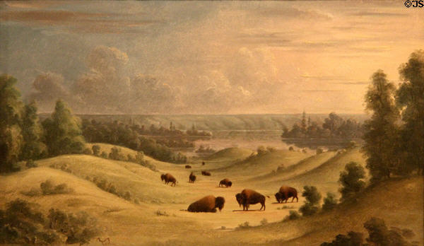 Landscape in Foothills with Buffalo Resting painting (1846) by Paul Kane at Art Gallery of Ontario. Toronto, ON.