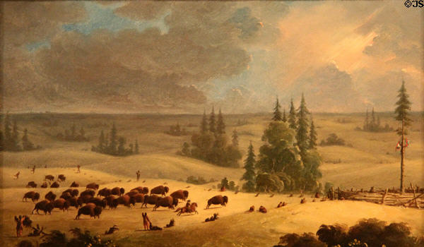 Buffalo Pound painting (1846) by Paul Kane at Art Gallery of Ontario. Toronto, ON.