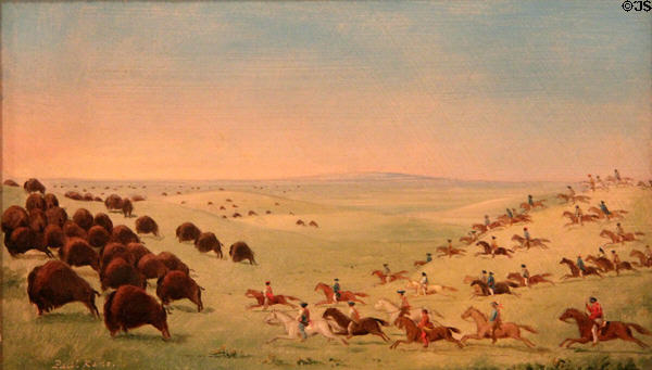 Métis Running Buffalo painting (1846) by Paul Kane at Art Gallery of Ontario. Toronto, ON.