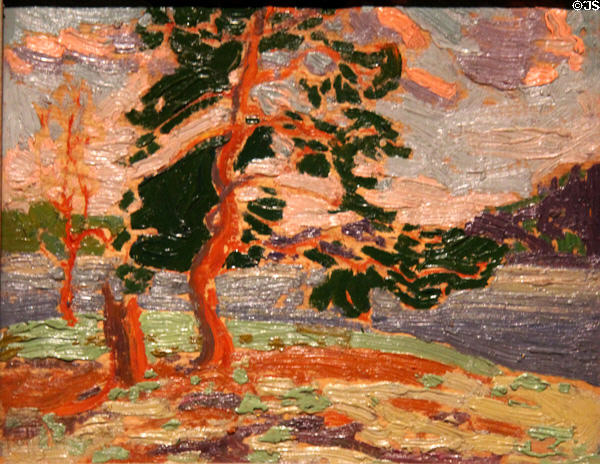 Pine Tree painting (c1915) by Tom Thomson at Art Gallery of Ontario. Toronto, ON.