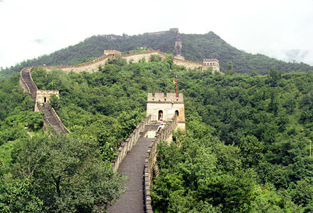 Forest surrounds Great Wall of China at Mutianyu. China.
