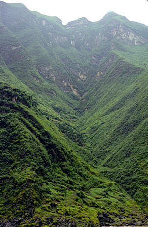 Shrubs covers rock formations along Yangtze (Yangtse) River. China.