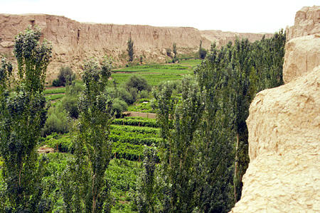 Crops now grow around the Jiaohe Ruins in Turpan. China.