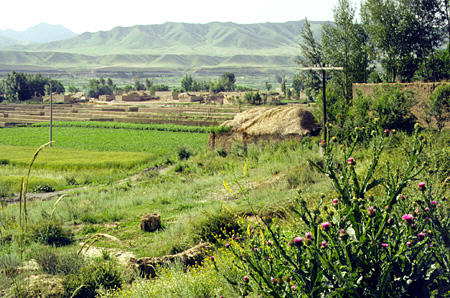 Southwest of Urumqi on road to southern pastures area. China.