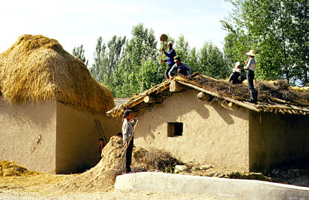 Making a new roof in a village southwest of Urumqi. China.