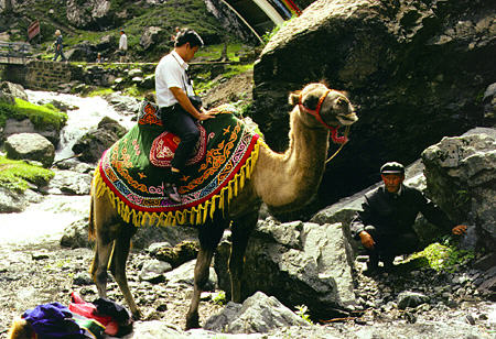 Camel and riders above southern pasture area near Urumqi. China.