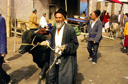 Man leads his ox through the Sunday market in Kashgar. China.