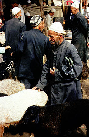 Inspecting the sheep at Kashgar's Sunday market. China.
