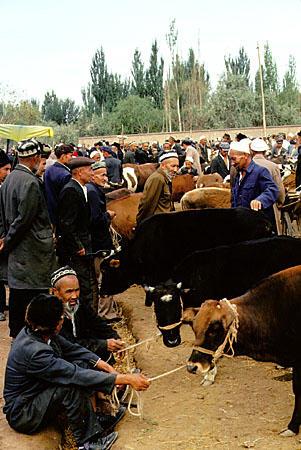 The crowded Kashgar Sunday market. China.