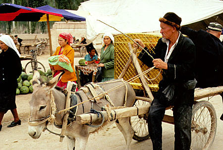 Donkey pulls a cart at the Sunday market in Kashgar. China.