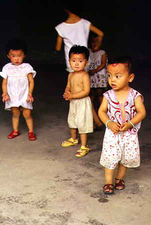 Children in a tea-growing village in Hangzhou. China.