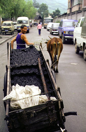 Pressed-coal briquettes used for cooking in a hand-pulled cart in Chengdu. China.