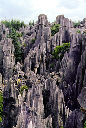 Natural formations of the stone forest outside of the city of Kunming. China.