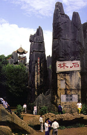 Tourists dwarfed by the large limestone formations in the stone forest near Kunming. China.