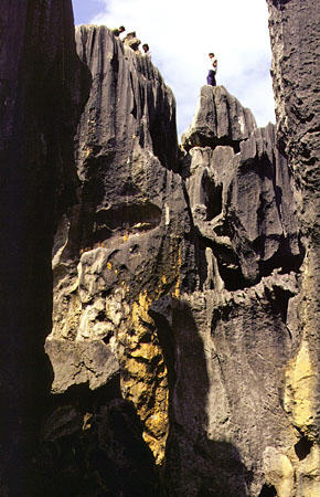 Limestone formations in the stone forest near Kunming. China.