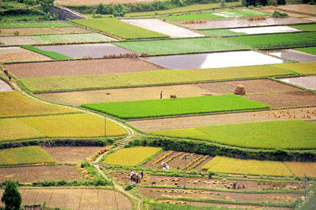 View of the fields near Kweilin from the surrounding hills. China.