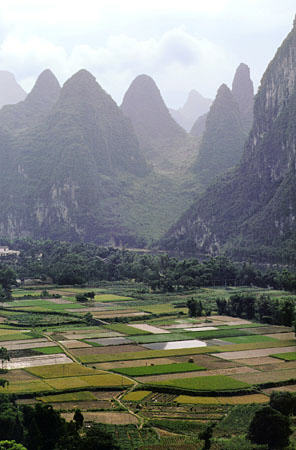 Fields and rocky hills of Kweilin. China.